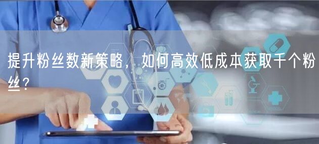 提升粉丝数新策略，如何高效低成本获取千个粉丝？