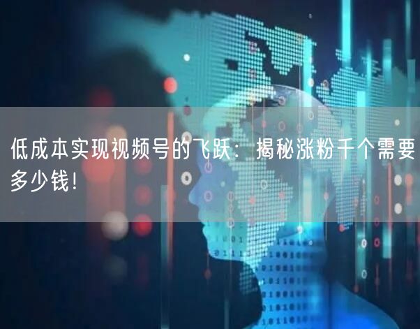 低成本实现视频号的飞跃：揭秘涨粉千个需要多少钱！