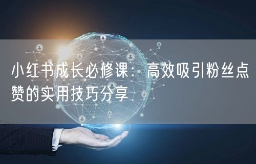 小红书成长必修课：高效吸引粉丝点赞的实用技巧分享