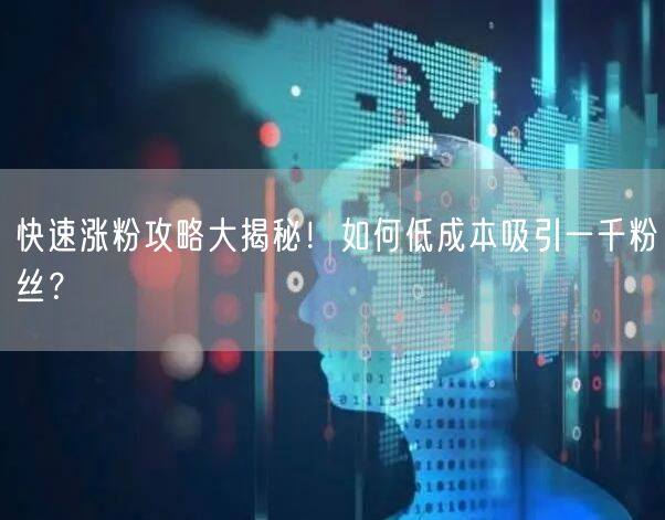 快速涨粉攻略大揭秘！如何低成本吸引一千粉丝？