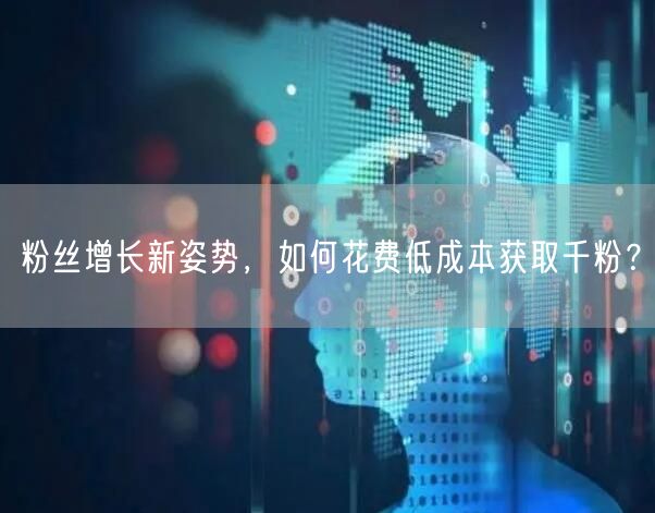 粉丝增长新姿势，如何花费低成本获取千粉？