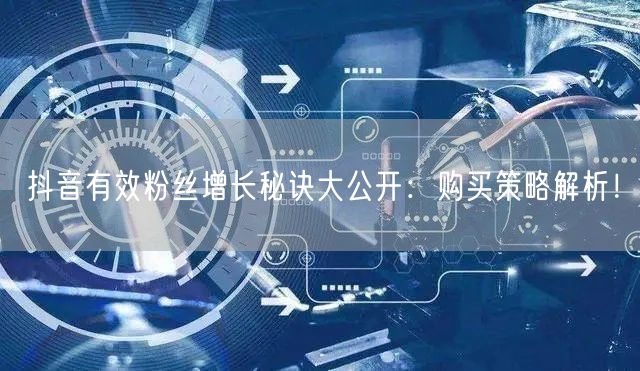 抖音有效粉丝增长秘诀大公开：购买策略解析！