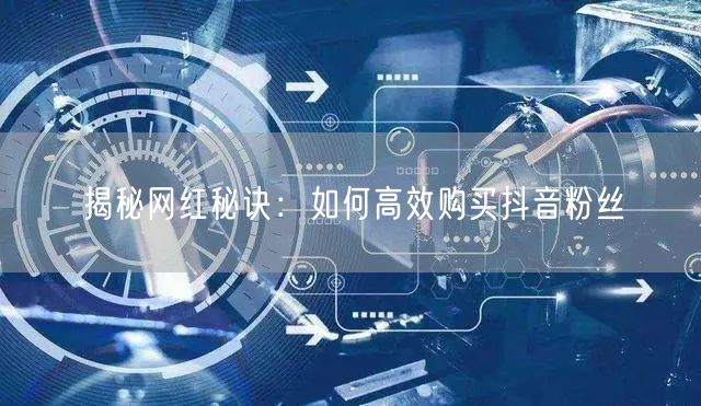 揭秘网红秘诀：如何高效购买抖音粉丝