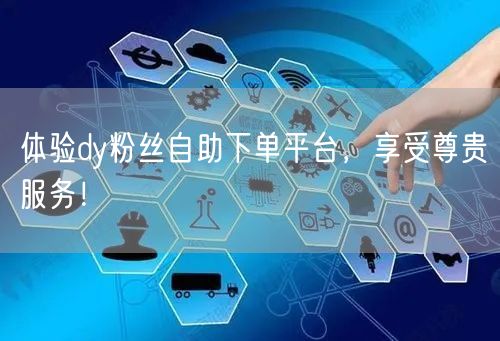 体验dy粉丝自助下单平台，享受尊贵服务！