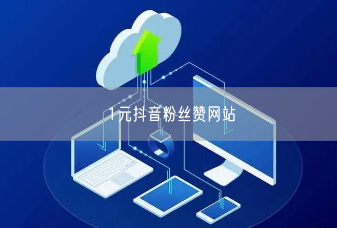 1元抖音粉丝赞网站