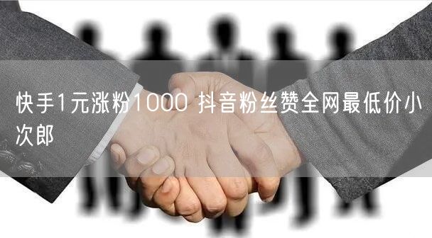 快手1元涨粉1000 抖音粉丝赞全网最低价小次郎