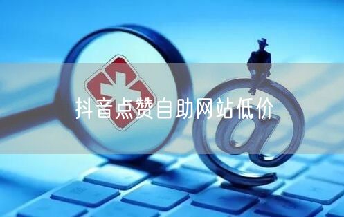 抖音点赞自助网站低价